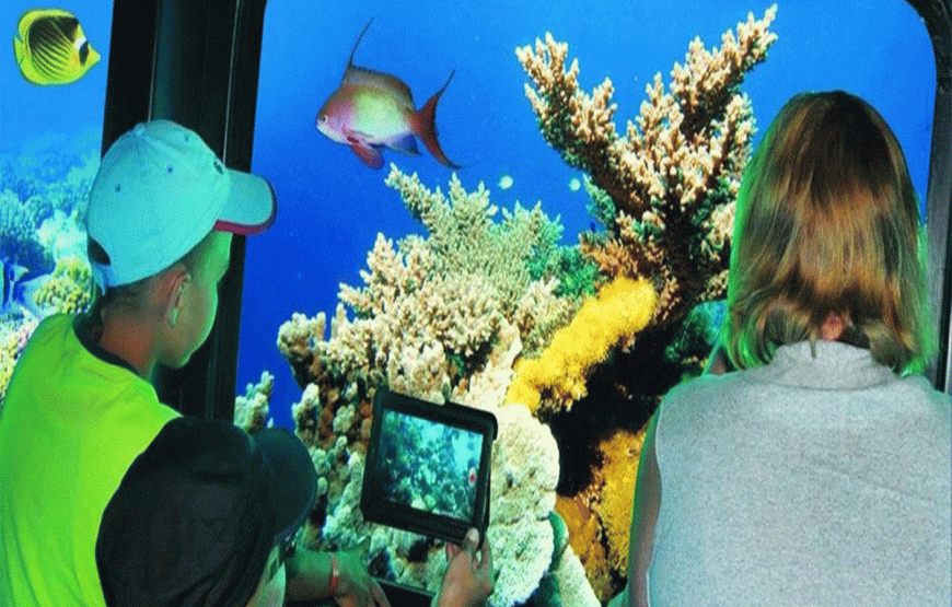 Glass Bottom Boat Hurghada Trip Panorama_Royal Sea Scope