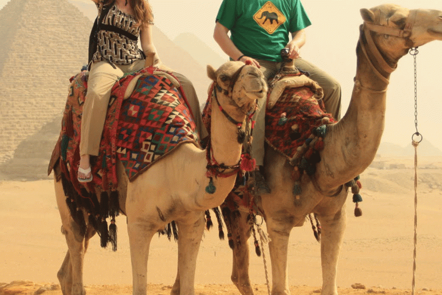 Desert Adventure: Exploring the Pyramids on a Camel Ride