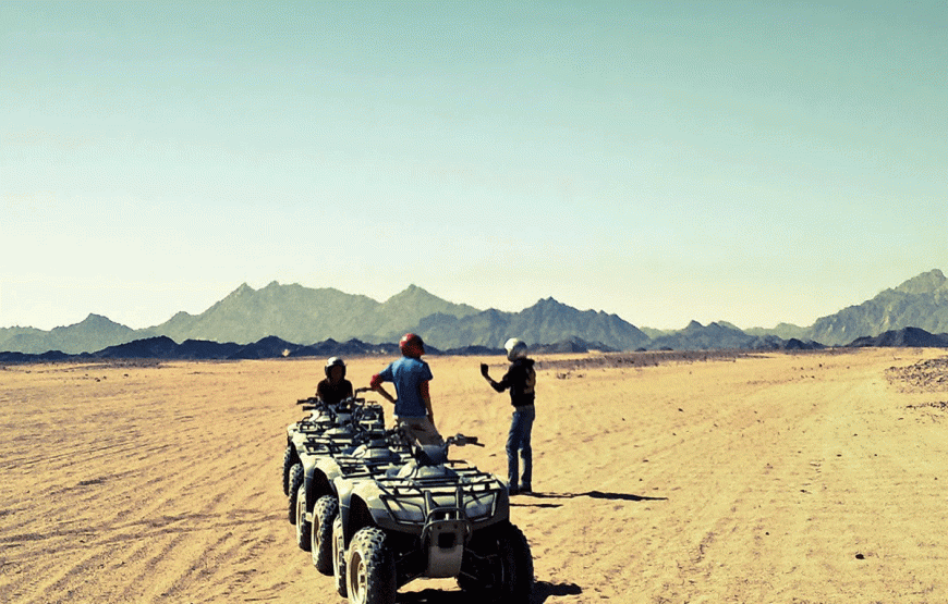 5 hours Safari Quad Tour Marsa Alam & Camel Ride + Dinner