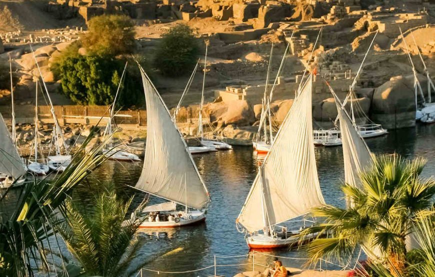 Aswan&Abu Simbel two days Private Tour