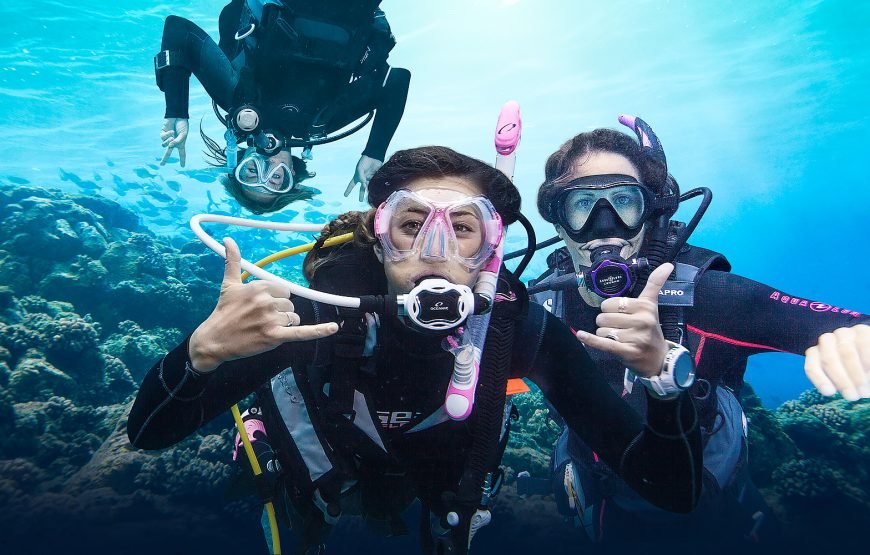DIVING TOUR 4 INTRO/ beginners PADI /SCUBA/CAVES  with a group /private instructor