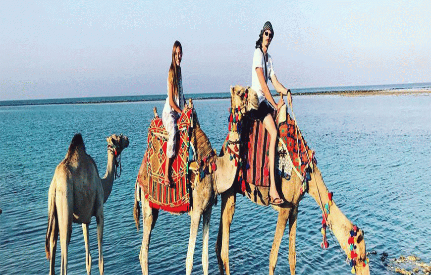 Discover the Hidden Beauty of Wadi El Gemal: Excursions from Marsa Alam