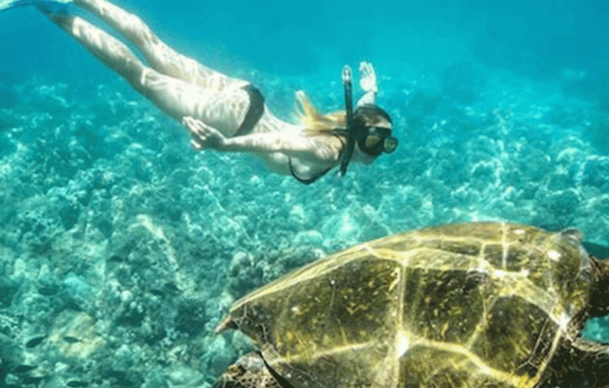 Discover the Wonders of the Red Sea: Snorkeling Trip at Hamata Islands from Marsa Alam