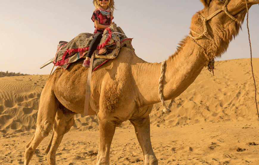 5 hours Safari Quad Tour Marsa Alam & Camel Ride + Dinner