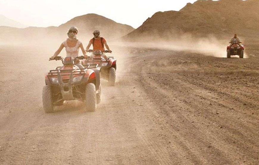 5 hours Safari Quad Tour Marsa Alam & Camel Ride + Dinner