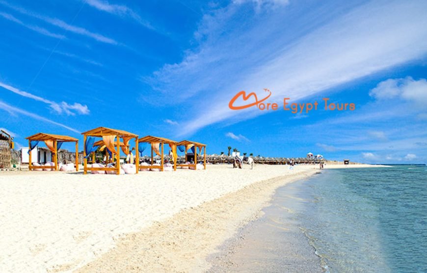 Abu Dabbab Beach Snorkeling tour with Turtles & Dugong