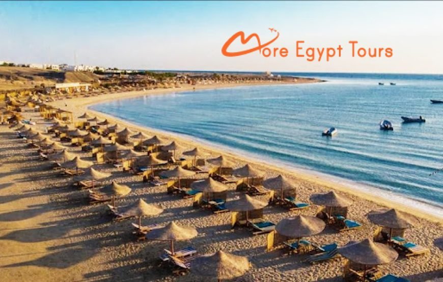 Abu Dabbab Beach Snorkeling tour with Turtles & Dugong