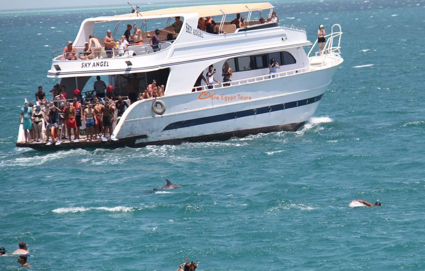 Dolphin House Snorkeling & Swimming Day Tour with Lunch