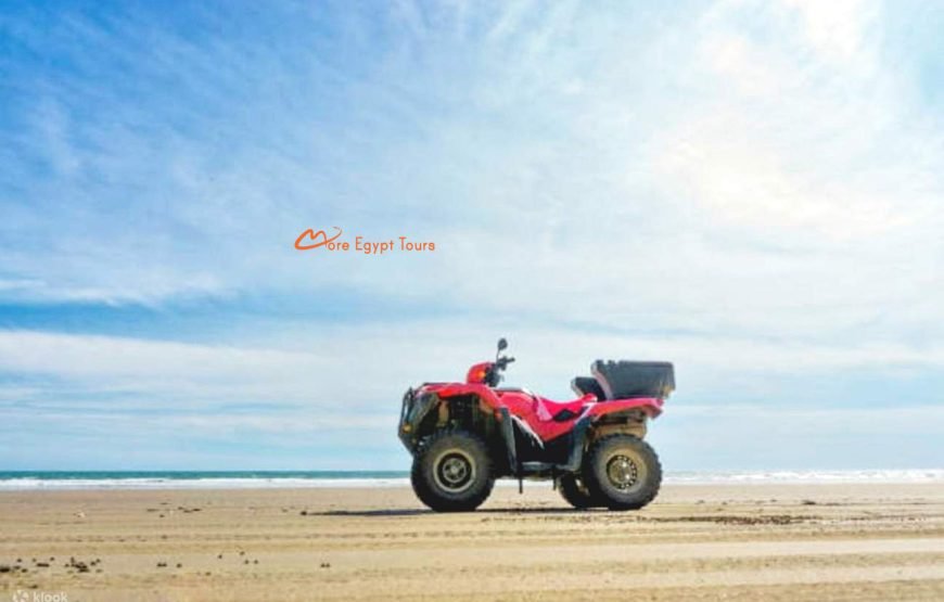 Safari Quad 3 hours Tour Marsa Alam+Camel