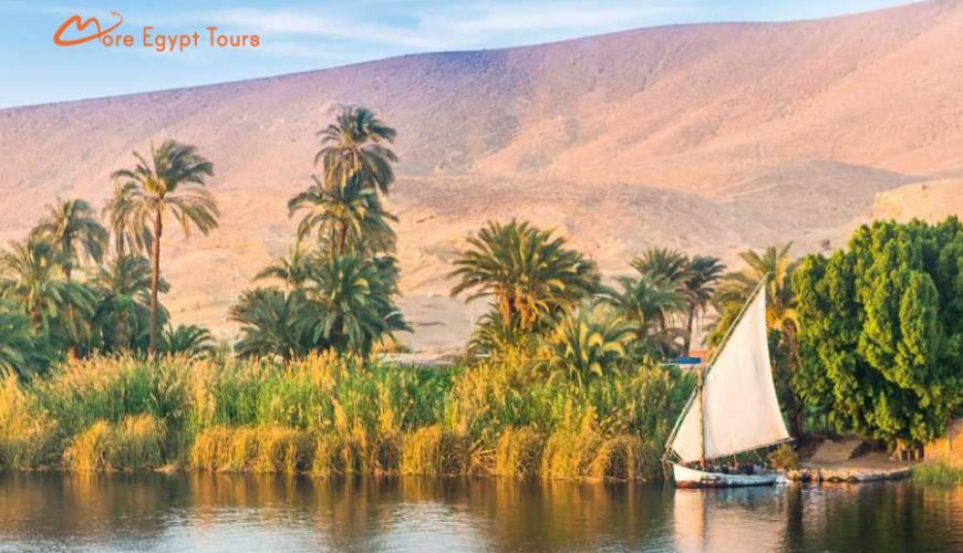 Nile Cruise from Luxor to Aswan 8 Days 7 Nights