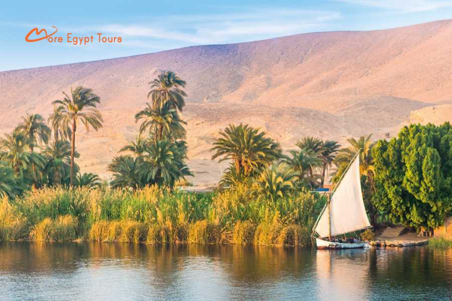 4-Day Nile Cruise — Aswan to Luxor with Abu Simbel & Hot Air Balloon
