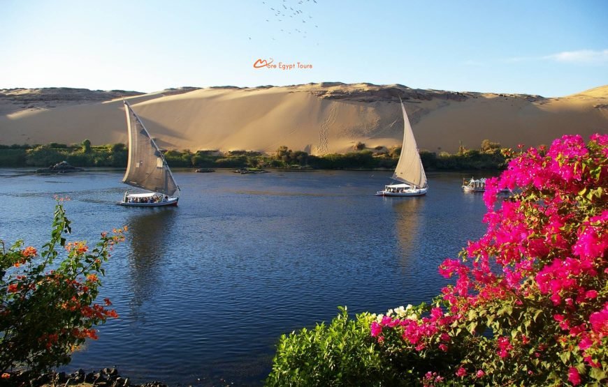 Nile River Felucca Ride in Luxor
