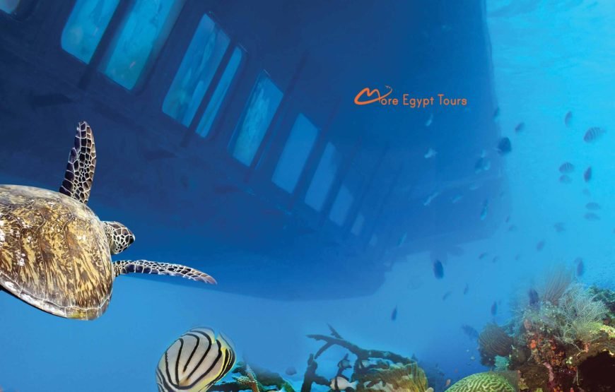 Glass Bottom Boat Hurghada Trip Panorama Royal Sea Scope