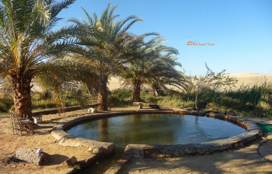 Siwa And Bahariya Oasis Safari Adventur Tour Package