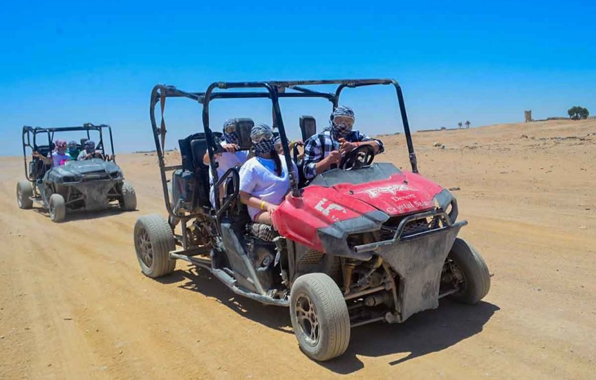 Safari Quad 3 hours Tour Marsa Alam+Camel