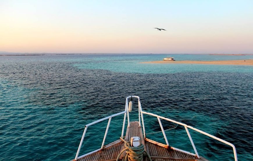 Mahmya Island Hurghada Snorkeling Day Trip