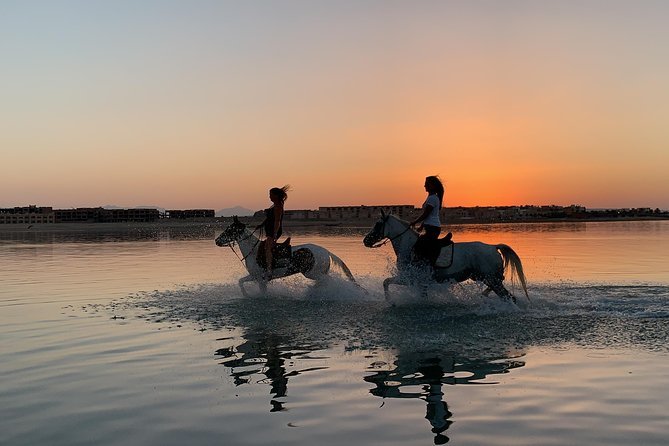 Horse Riding 3 Hours Beach, Swimming by Horse at Red Sea