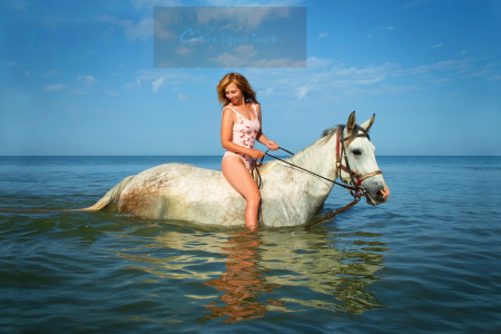 Riding Horse 3 Hours Beach&Swimming by Horse at Red Sea