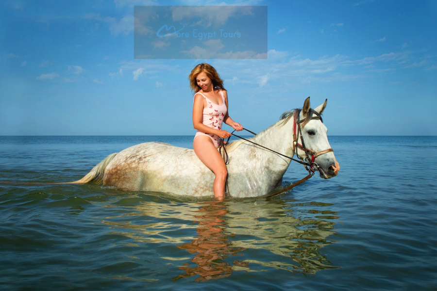 Riding Horse 3 Hours Beach&Swimming by Horse at Red Sea