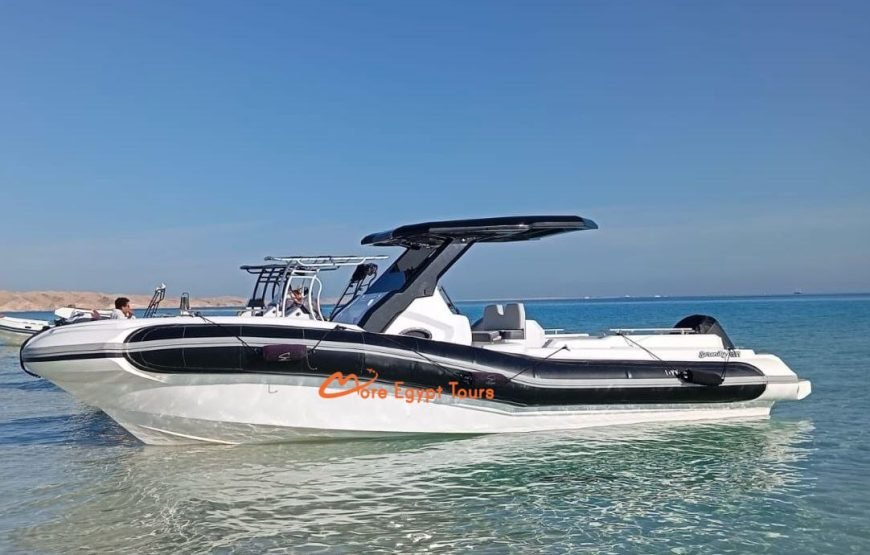 Private Speedboat Trip to Dolphin House