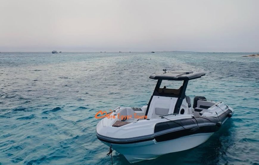 Private Speedboat Trip to Dolphin House