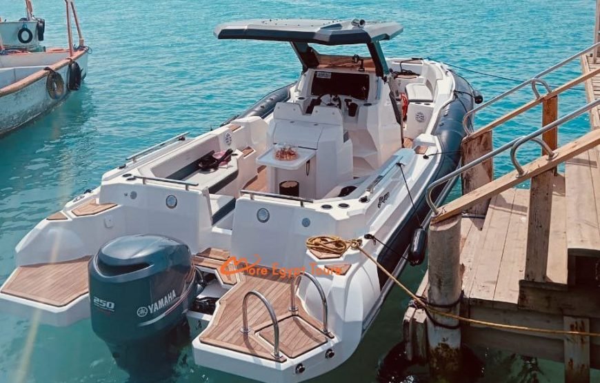 Private Speedboat Trip to Dolphin House