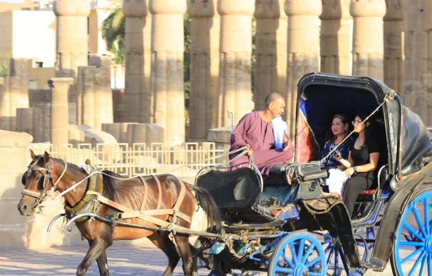 Luxor Tour by a horse-drawn carriage