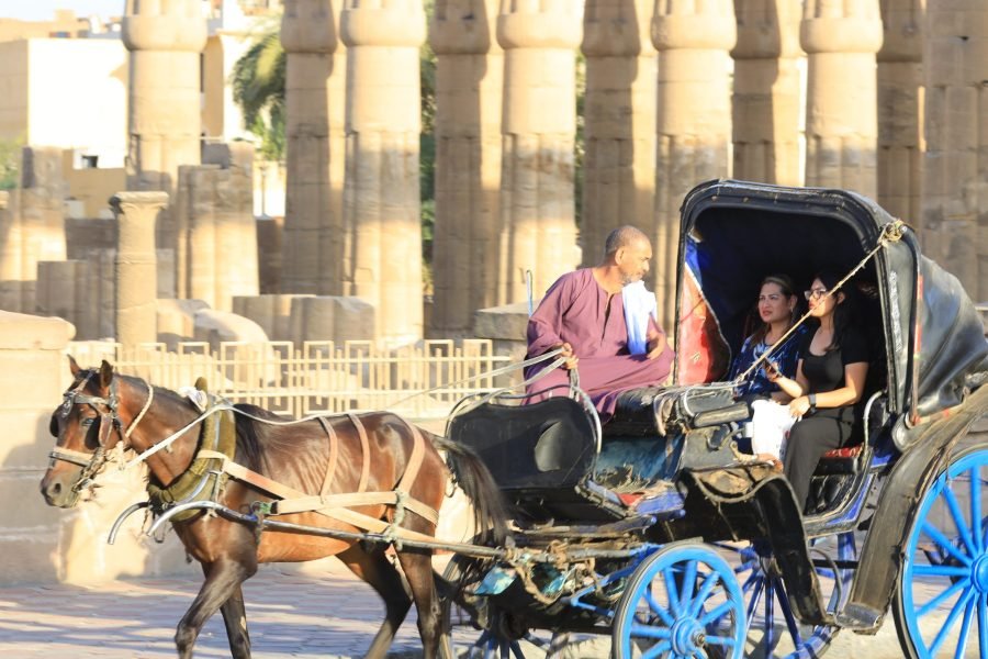 Luxor Tour by a Horse Drawn Carriage