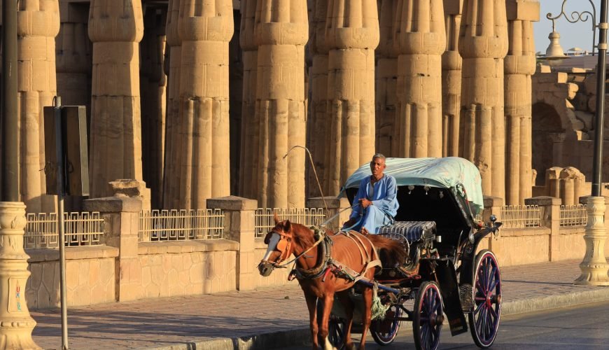 Luxor Tour by a Horse Drawn Carriage