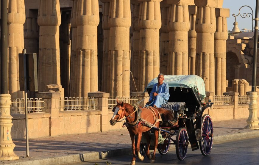 Luxor Tour by a horse-drawn carriage