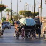 Luxor Tour by a Horse Drawn Carriage