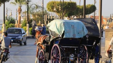Luxor Tour by a Horse Drawn Carriage