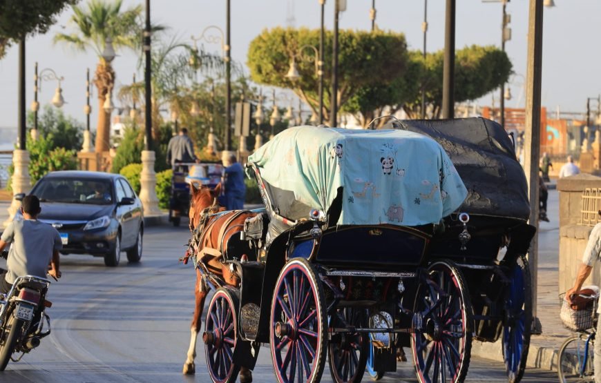 Luxor Tour by a horse-drawn carriage