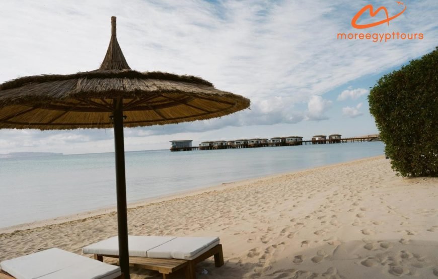 Tawila Island Explorer: Luxury Day Use & Red Sea Snorkeling