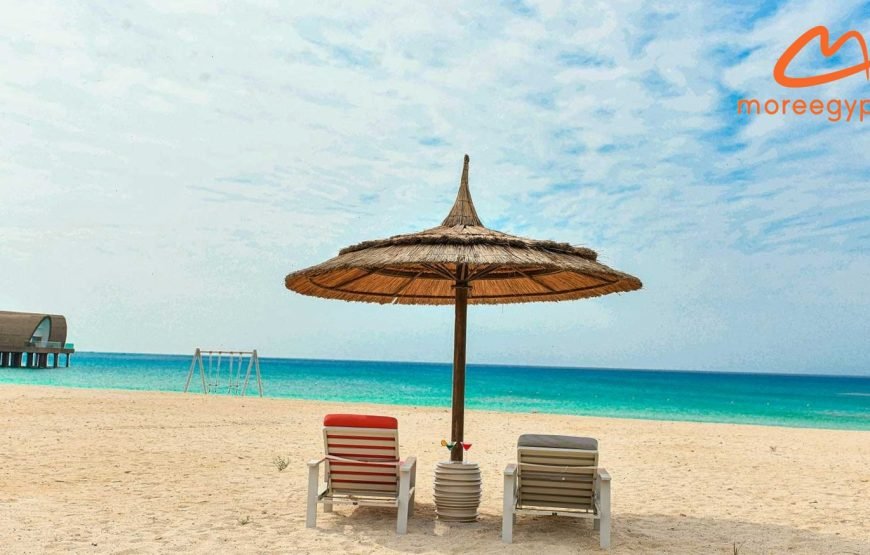 Tawila Island Explorer: Luxury Day Use & Red Sea Snorkeling