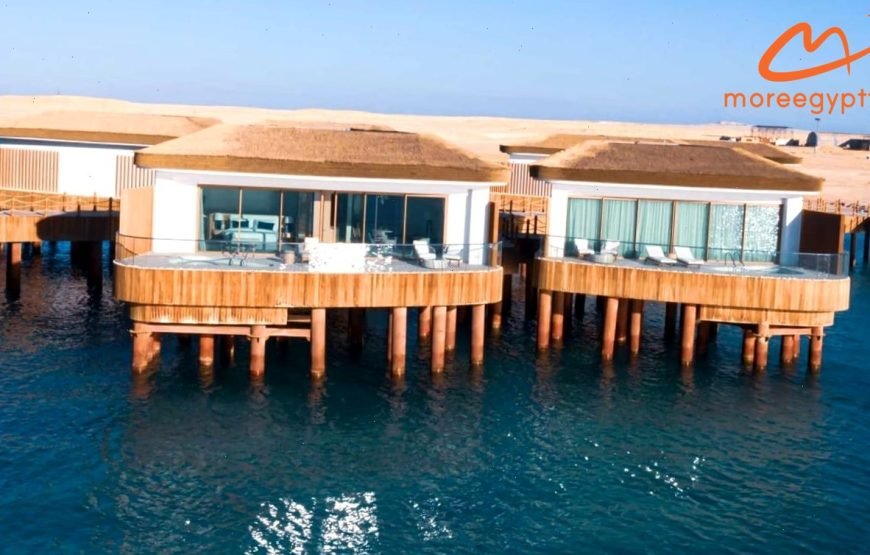 Tawila Island Explorer: Luxury Day Use & Red Sea Snorkeling